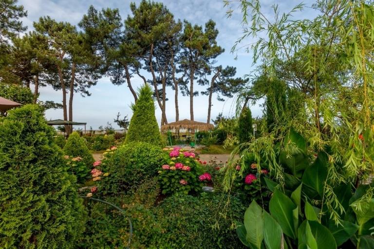 Лагерь в Грузию